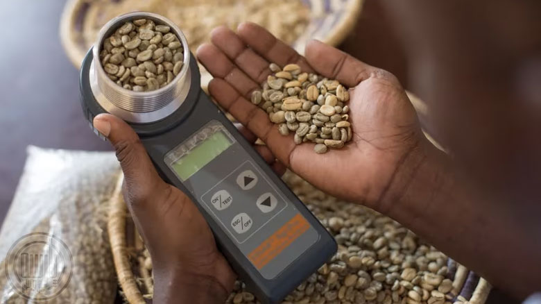 چگونه یک رطوبت سنج دیجیتال می‌تواند آسیاب کردن و برشته کردن را بهینه کند